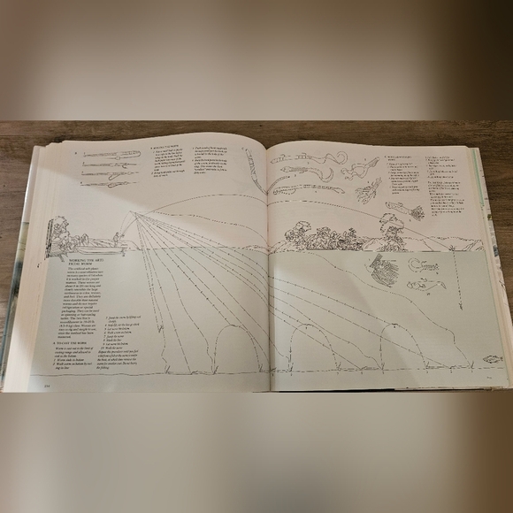 Gorgeous 1970s Coffee Table Book with Illustrations - Picture 7 of 13